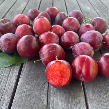 Burgundy Plum Tree Fruits on Table